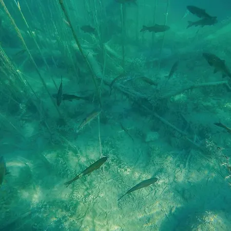 Four-bedroom In * Kijevo