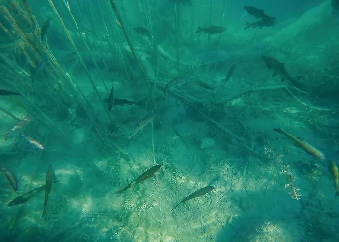 Four-bedroom In * Kijevo